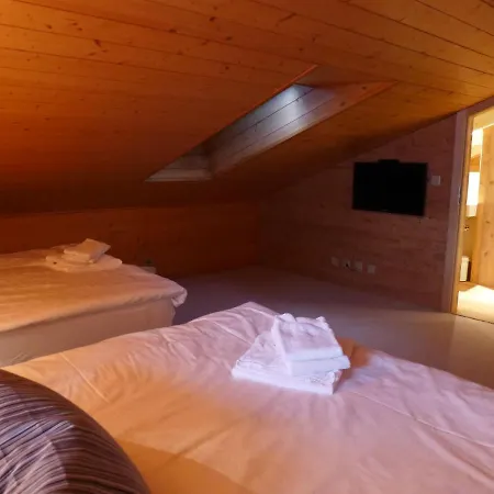 Apartment Le Faucon 8 By Interhome Apartment Villars-sur-Ollon